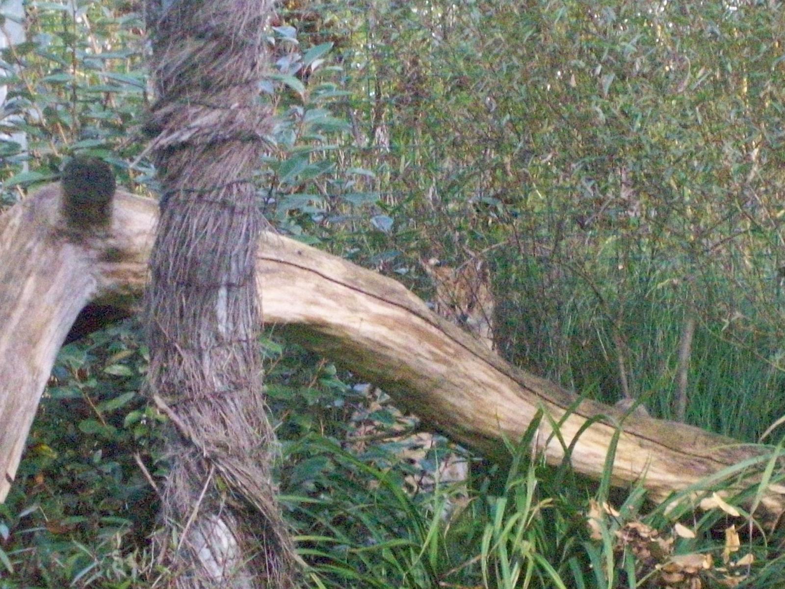 Zoom 18.10.2008-198.jpg